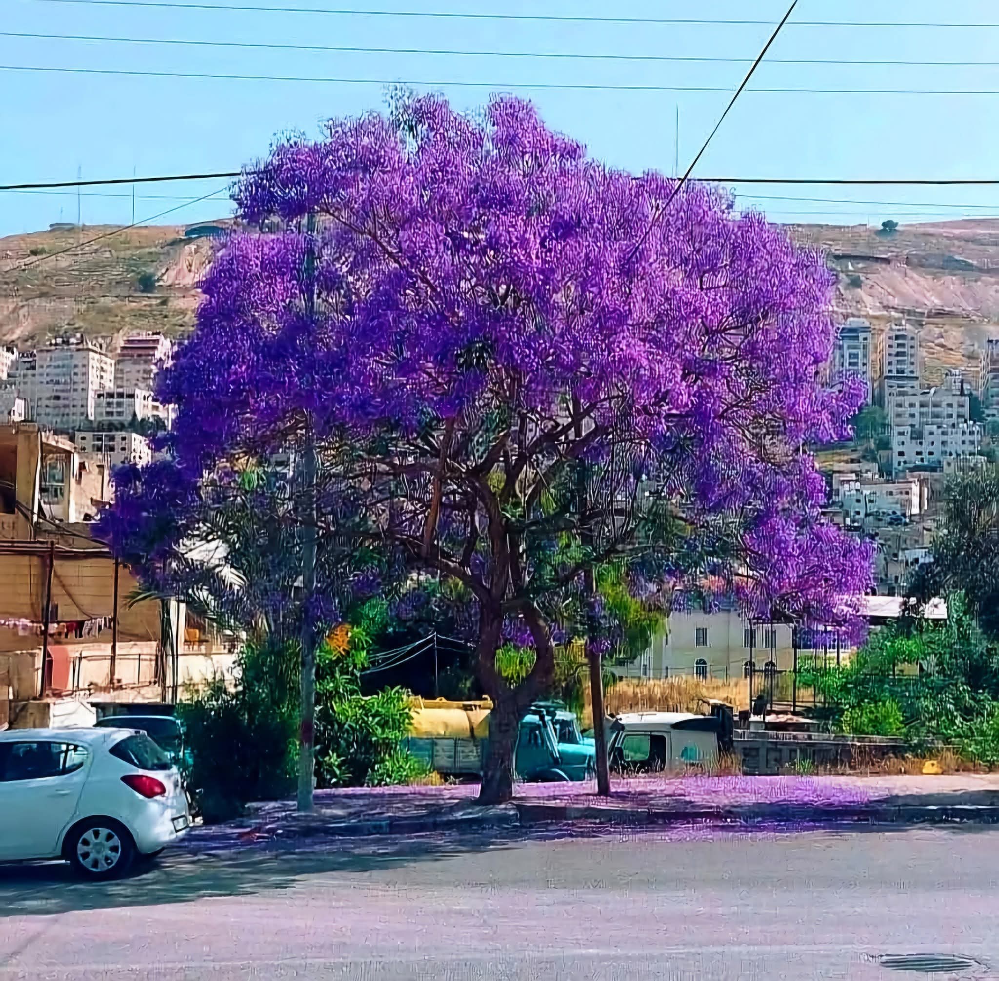 ����� ��� ������_Y3joF